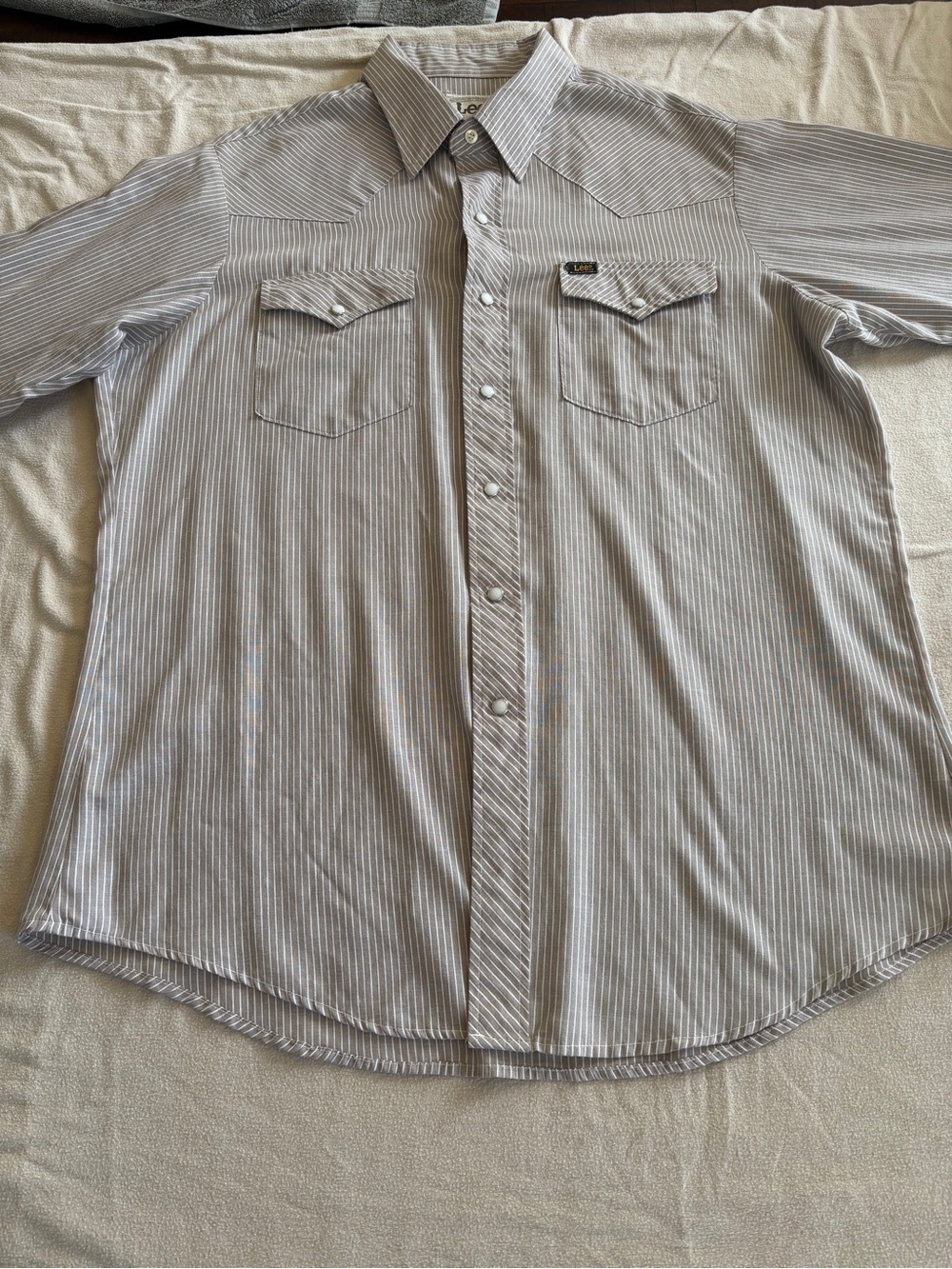 Lee Men’s Light Gray Pinstripe Western Button-Down Shirt